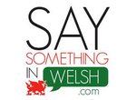 Say Something in Welsh (SSiW) 6 months intensive course