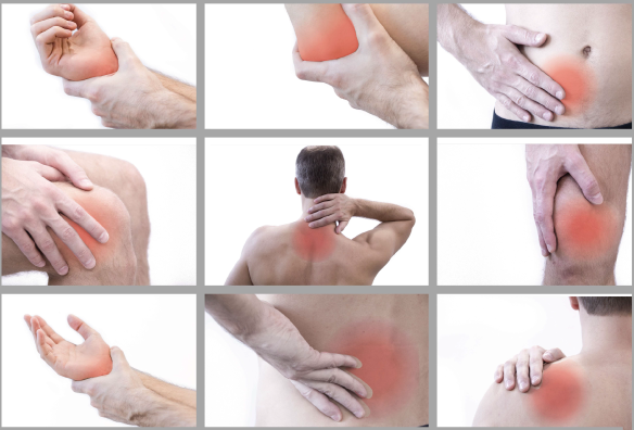Back and Joint Pain